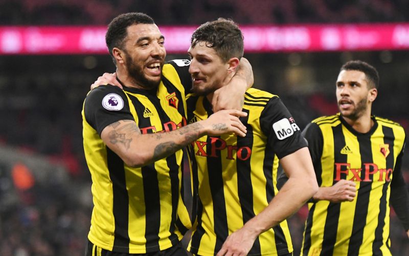 Màu vàng-đen: Biểu tượng bất diệt của “The Hornets”